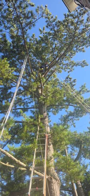 Sandoval Brothers Services LLC